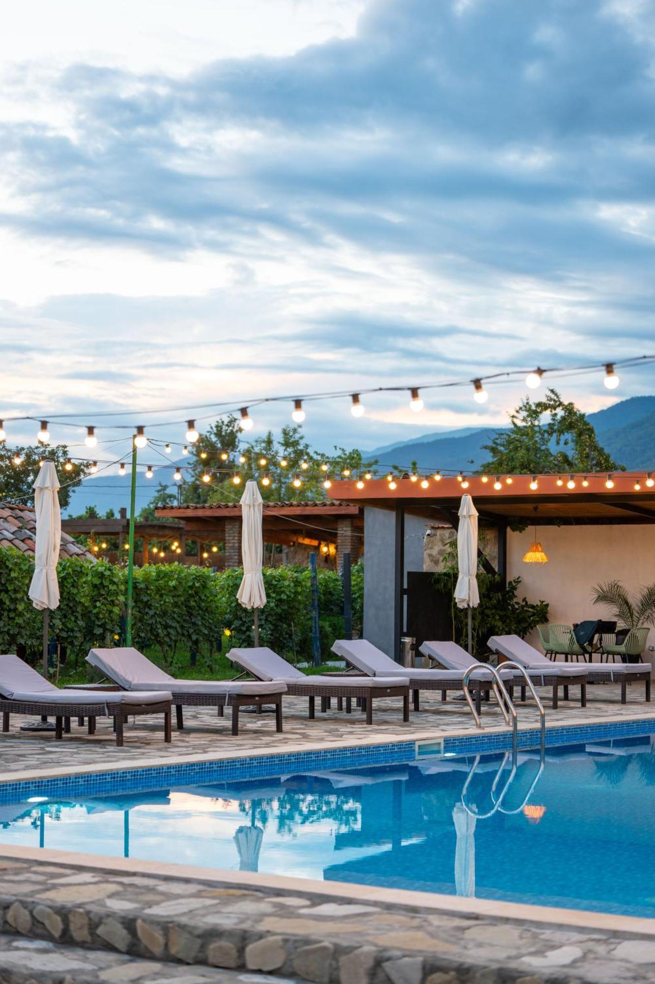Vineyard Hotel & Winery Napareuli 外观 照片