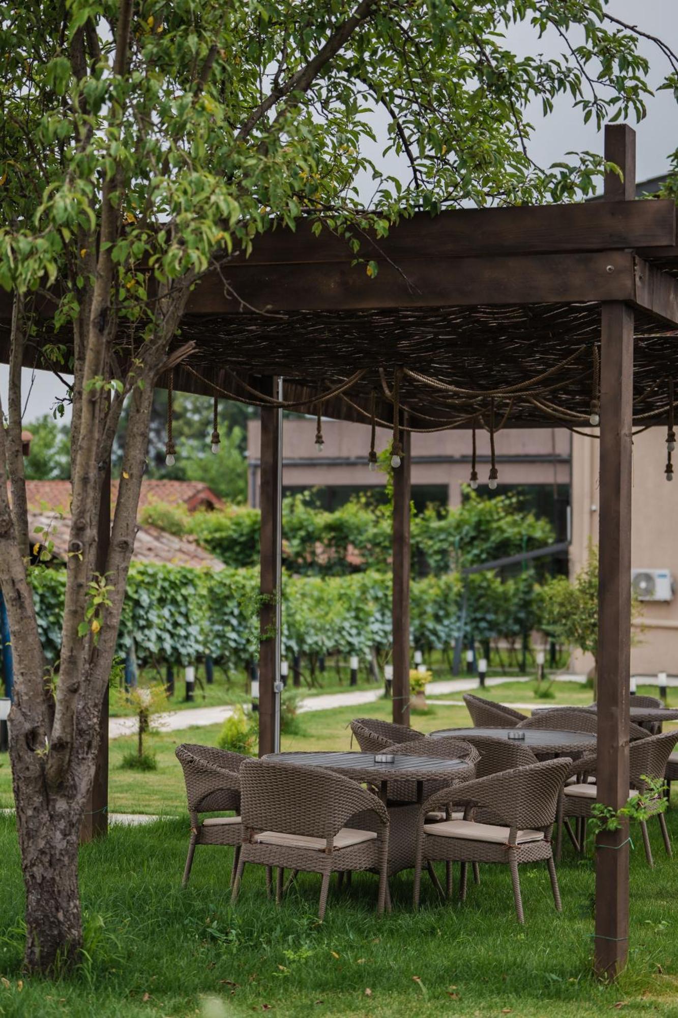 Vineyard Hotel & Winery Napareuli 外观 照片