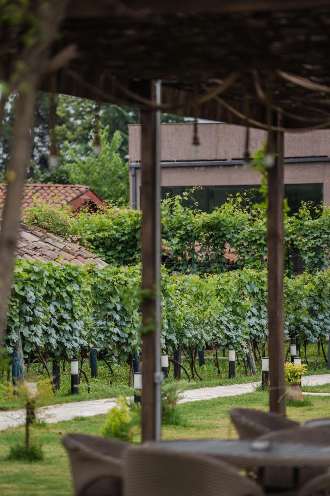 Vineyard Hotel & Winery Napareuli 外观 照片