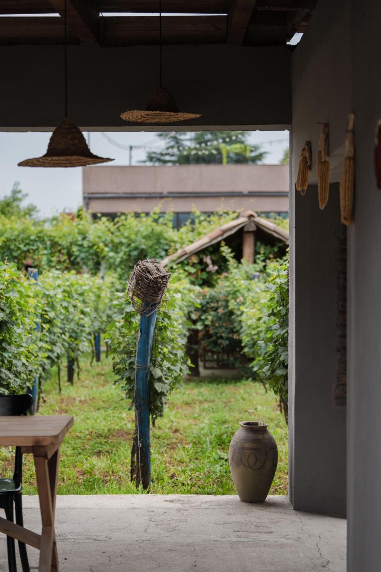 Vineyard Hotel & Winery Napareuli 外观 照片